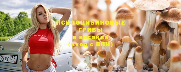 гидропоника Вяземский