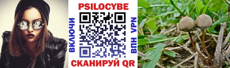купить  сайты  Магнитогорск  Галлюциногенные грибы прущие грибы 